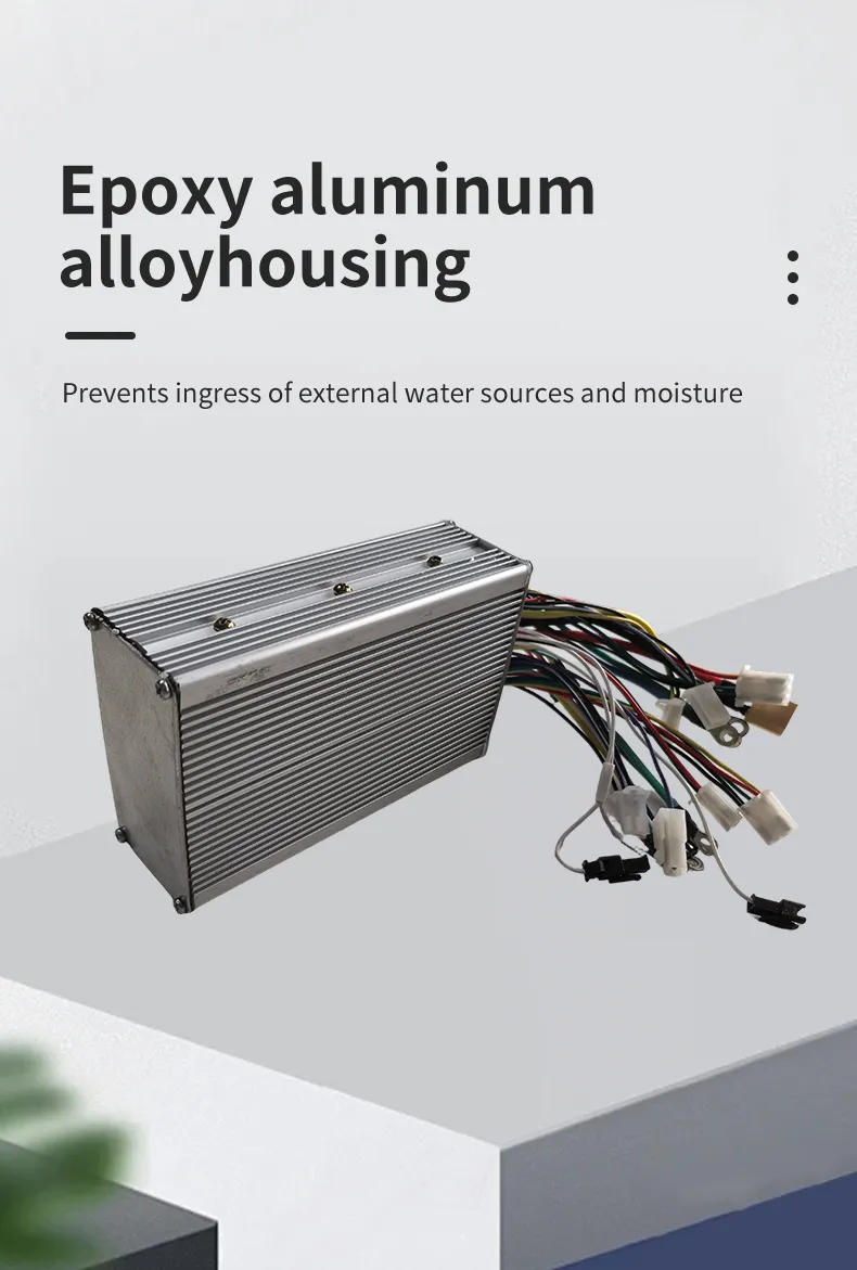 1000W brushless motor dual drive controller